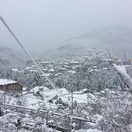 Greenland Hotel Borjomi Ngoại thất bức ảnh