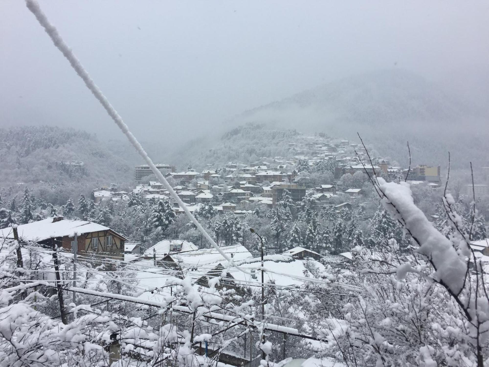 Greenland Hotel Borjomi Ngoại thất bức ảnh